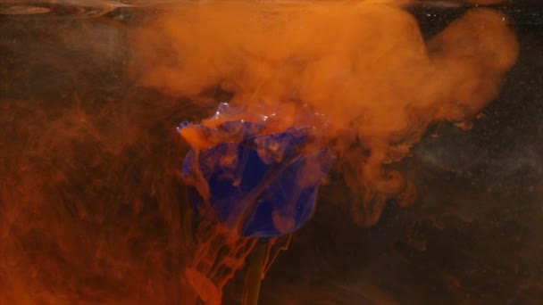 Дивовижний атмосферний знімок красивої блакитної троянди, що змішується з чорнилом у воді — стокове відео