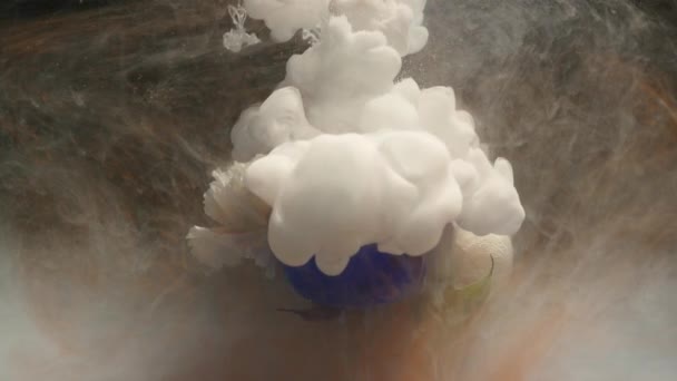 Plan atmosphérique étonnamment merveilleux d'une belle rose bleue mélangeant avec de l'encre dans l'eau — Video