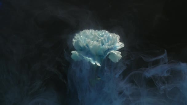 Αφηρημένης φύσης με λουλούδι και μελάνι σύννεφα — Αρχείο Βίντεο