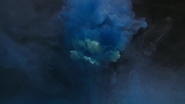 花とインクの雲の抽象的な性質 — ストック動画
