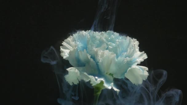 Natura astratta con nuvole di fiori e inchiostro — Video Stock