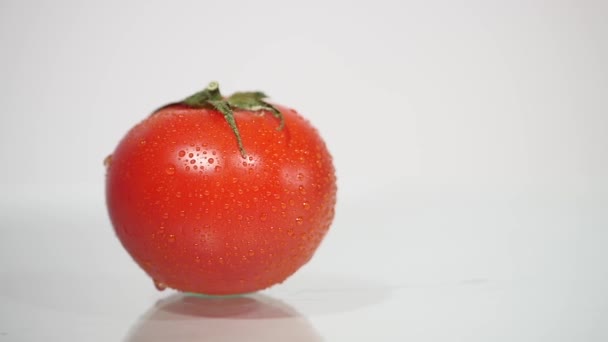 Μακροεντολή γυρίσματα του την κόκκινη ντομάτα με σταγόνες νερού σε λευκό φόντο — Αρχείο Βίντεο