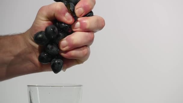 Crush paarse druiven in de hand op witte achtergrond — Stockvideo