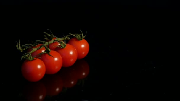 Grupo de tomates pequeños girando sobre fondo negro — Vídeo de stock