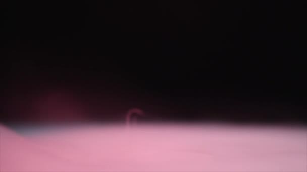 Fumaça rosa no fundo preto — Vídeo de Stock