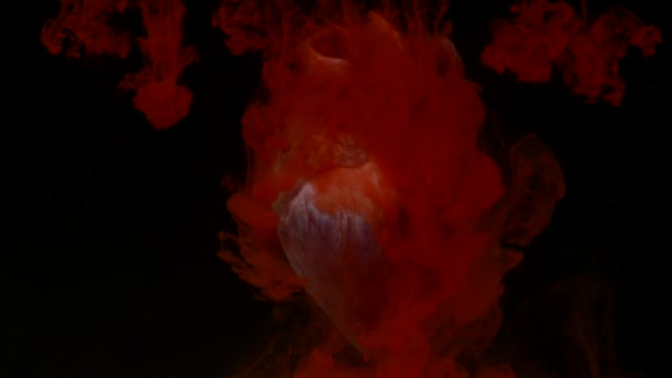 Καρδιά με κόκκινο μελάνι στο ενυδρείο σε μαύρο φόντο — Αρχείο Βίντεο