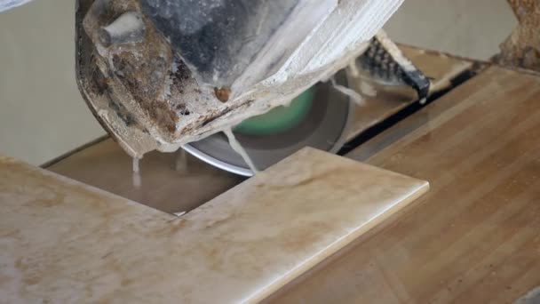 Κατασκευή εσωτερικών άνδρες εργάζονται οικοδόμος Κόψτε το κεραμίδι στο πάτωμα — Αρχείο Βίντεο