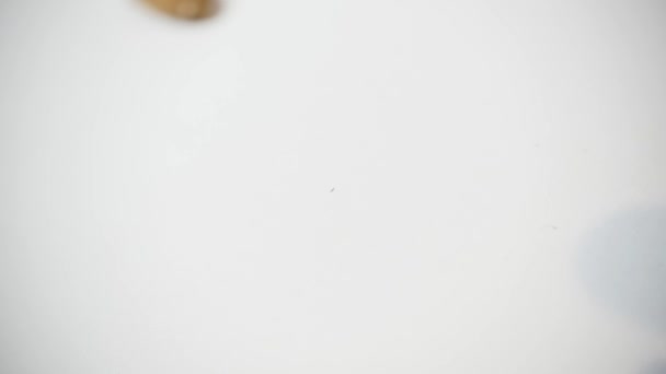 Αμύγδαλα που υπάγονται σε λευκό φόντο — Αρχείο Βίντεο