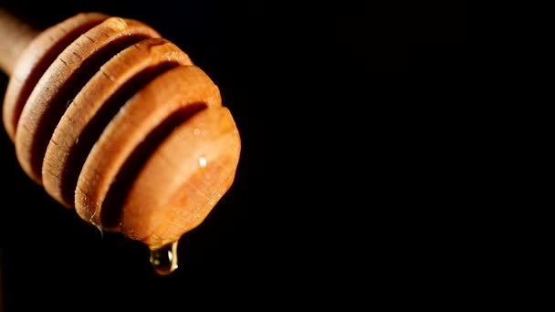 Dicker Honig, der vom Honiglöffel tropft, ein Tropfen, auf schwarzem Hintergrund, Nahaufnahme — Stockvideo