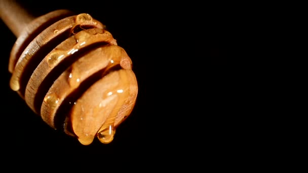 Thick honey dripping from the honey spoon, one drop, on black background, close up — Stock Video