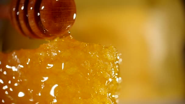 Honey dripping from honey dipper on honeycomb, over yellow background. Thick organic honey dipping from the wooden honey spoon — Stock Video