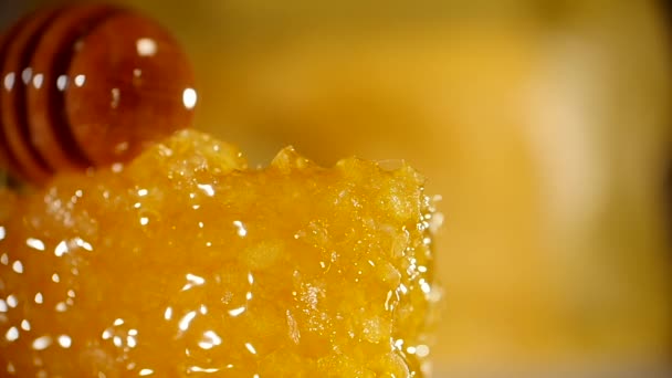 Miel coulant de la trempette de miel sur nid d'abeille, sur fond jaune. Miel bio épais trempé dans la cuillère à miel en bois — Video