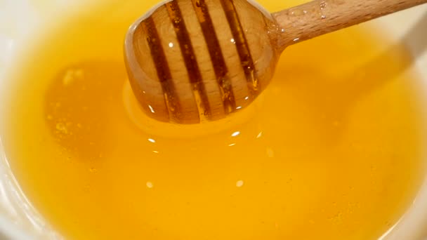 Nahaufnahme von Honig, der auf einem Honiglöffel in einer Schüssel voller Honig nieselt — Stockvideo
