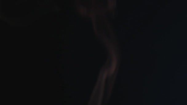 Gros plan de bâtonnets d'encens brûlants avec de la fumée sur fond noir — Video