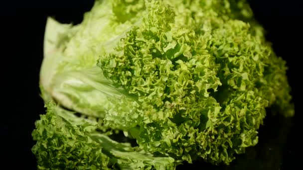 Frische Salatblätter aus nächster Nähe, in Rotation, schwarzer Hintergrund — Stockvideo