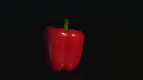 Pimentos vermelhos maduros que giram sobre fundo preto — Vídeo de Stock