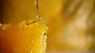 Bal ayı petek üzerinde gelen sarı arka plan üzerinde damlayan bal