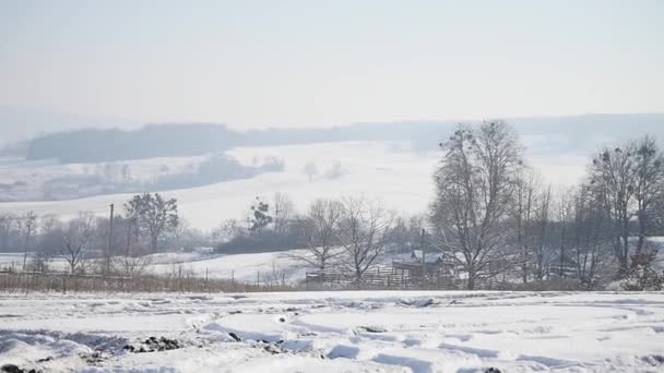 Landschaft mit Winterbäumen, schneebedeckten Bergen und Wolken — Stockvideo