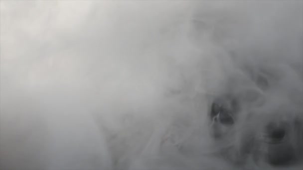 Primo piano di fumo di ghiaccio in ciotola su sfondo nero — Video Stock