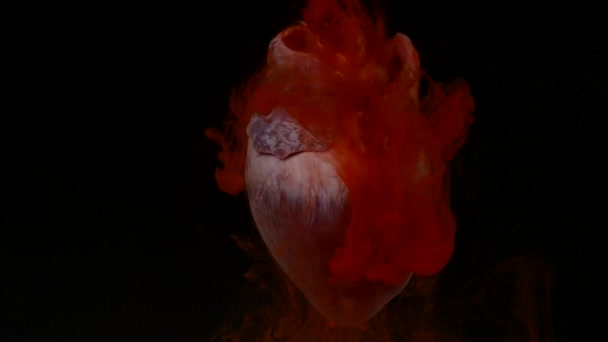 Сердце с красными чернилами в аквариуме на черном фоне — стоковое видео