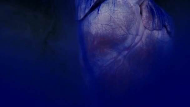 Coração com tinta azul no aquário sobre fundo preto — Vídeo de Stock