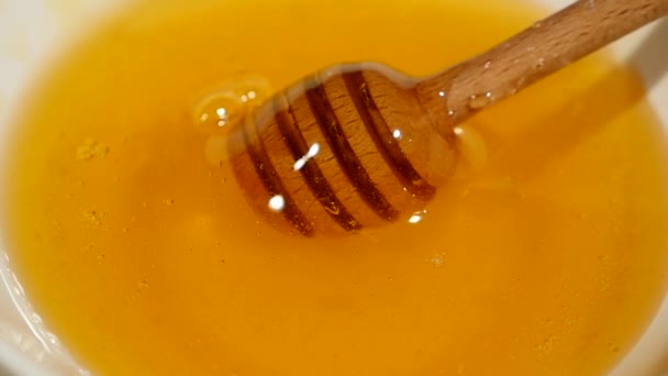 Gros plan de miel qui jaillit sur une trempette à miel dans un bol rempli de miel — Video