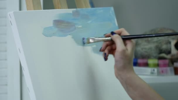 Beautiful artist paints on canvas — Stock Video