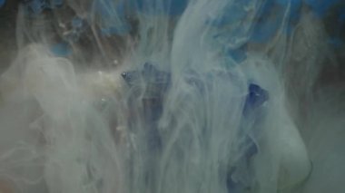 Güzel bir Mavi gül ile karıştırma inanılmaz harika atmosferik atış suda mürekkep