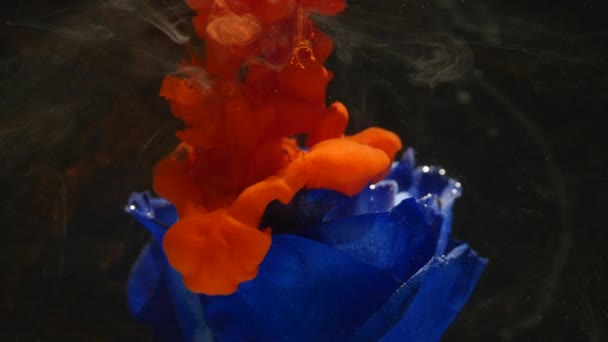 Amazingly wonderful atmospheric shot of a beautiful blue rose mixing with ink in water — Stock Video