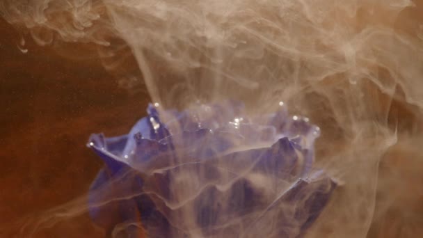 Amazingly wonderful atmospheric shot of a beautiful blue rose mixing with ink in water — Stock Video