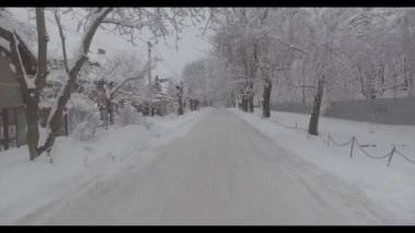 Kış yolu ve karla kaplı, karlı ağaçlar.