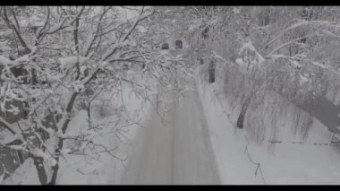 Kış yolu ve karla kaplı, karlı ağaçlar.
