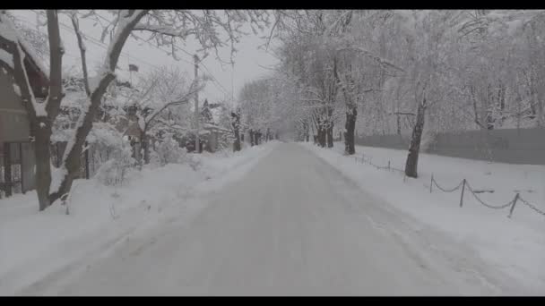 Zimní silnice a sníh s krajinou stromů s mrazem — Stock video