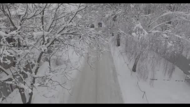 Winterweg en sneeuw met landschap van bomen met vorst — Stockvideo