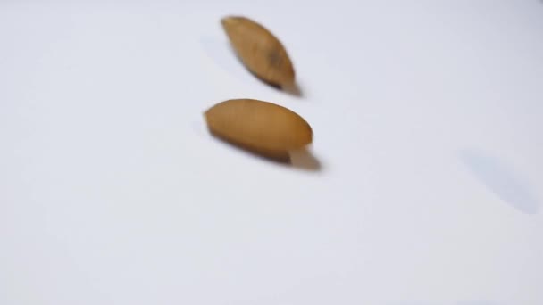 Almonds falling on white background — Stock Video