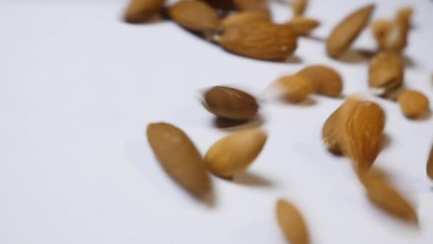 Almonds falling on white background — Stock Video