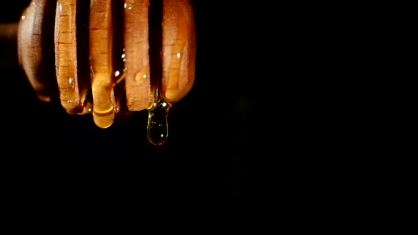 Miel gruesa goteando de la cuchara de miel, una gota, sobre fondo negro, de cerca — Vídeos de Stock