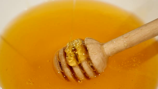 Κοντινό πλάνο του ψιλοβρόχι σχετικά με μια κουτάλα μέλι σε ένα μπολ γεμάτο μέλι μέλι — Αρχείο Βίντεο