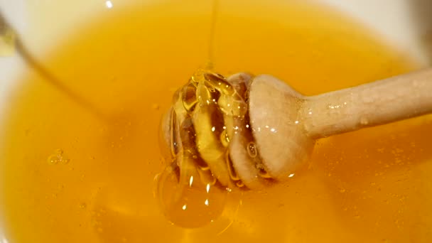Primer plano de la miel llovizna en un cazo de miel en un tazón lleno de miel — Vídeo de stock