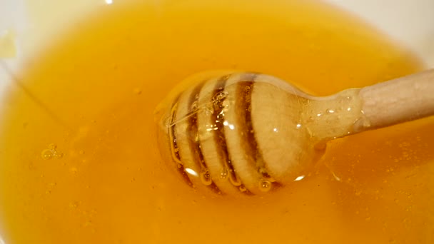 Крупним планом знімок медового дощу на медовому дробарку в мисці, повній меду — стокове відео