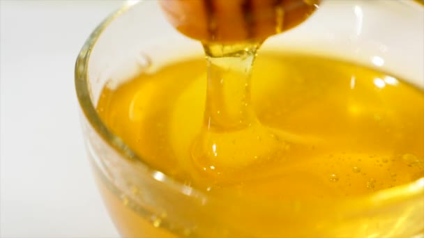 Close up shot of honey drizzling on a honey dipper in a bowl full of honey — Stock Video