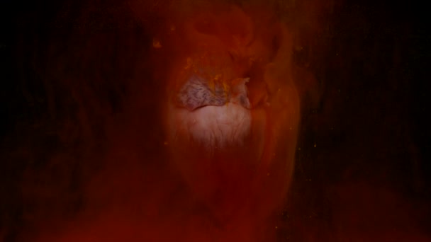 Herz mit roter Tinte im Aquarium auf schwarzem Hintergrund — Stockvideo