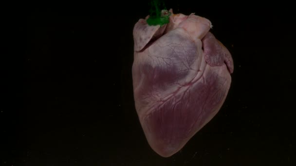 Coeur avec encre verte dans l'aquarium sur fond noir — Video