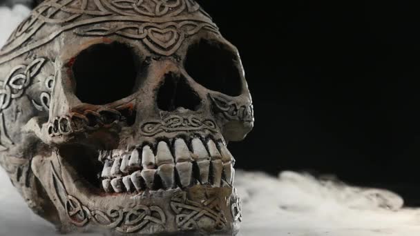 Skull covered in smoke on a dark background — Stock Video