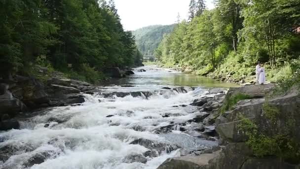 Mountain River Paisagem da Natureza, Corrente, Riacho, Brook, Pequena Cachoeira — Vídeo de Stock