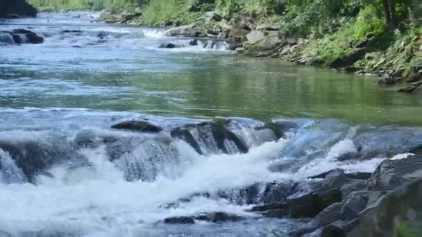 自然、ストリーム、クリーク、小川、小さな滝の山川の風景 — ストック動画