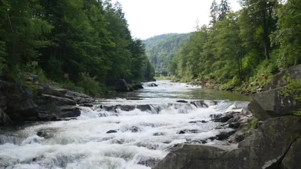 Dağ nehir manzara doğa, akarsu, dere, Brook, küçük şelale — Stok video