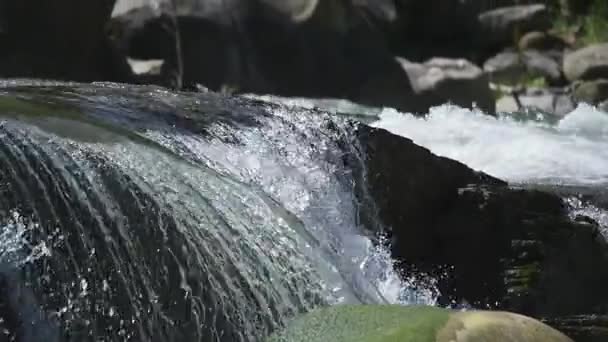 Mountain River Paisagem da Natureza, Corrente, Riacho, Brook, Pequena Cachoeira — Vídeo de Stock