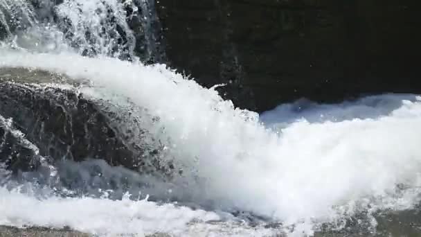 Гірська річка краєвид природи, потік, крик, Брук, невеликий водоспад — стокове відео