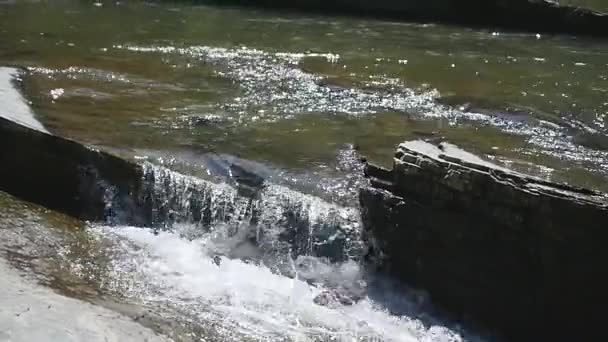 Гірська річка краєвид природи, потік, крик, Брук, невеликий водоспад — стокове відео